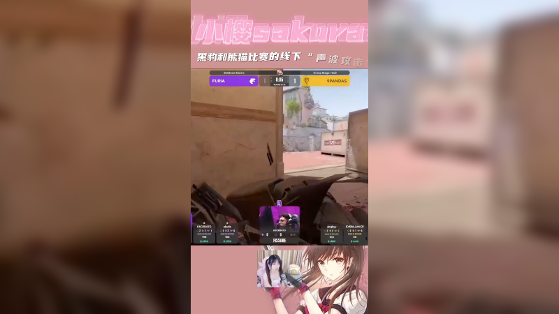 【小樱】黑豹和熊猫比赛的线下“声波攻击”