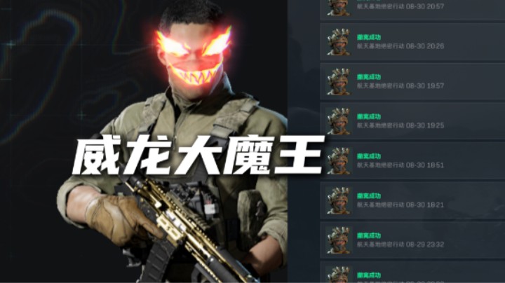 当我玩了300小时威龙后……