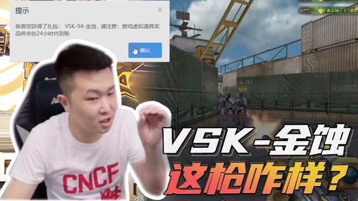 VSK-金蚀这枪咋样？