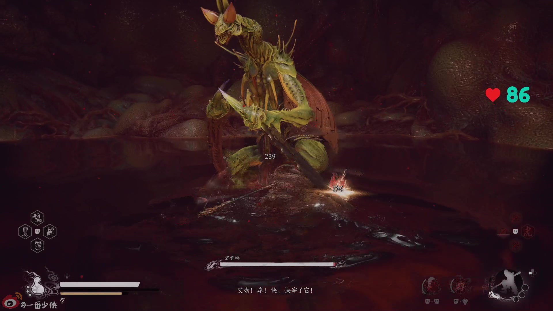 【2024-09-05 01点场】一番少侠29：没记错的话，主播两周前是全平台首开吧？