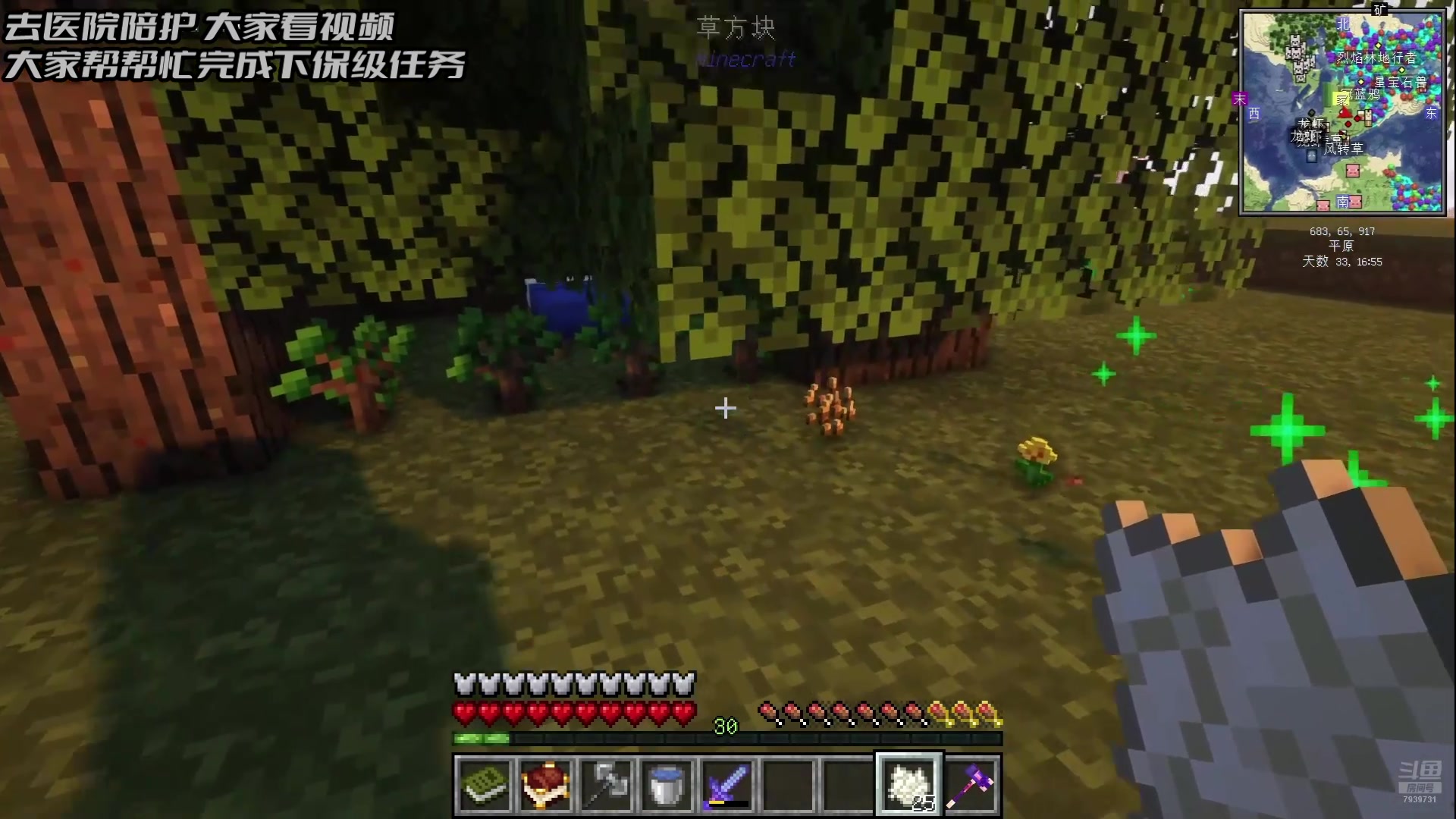 【2024-09-05 19点场】隐者丶丶：【小蜜蜂】照顾老婆 不定时直播