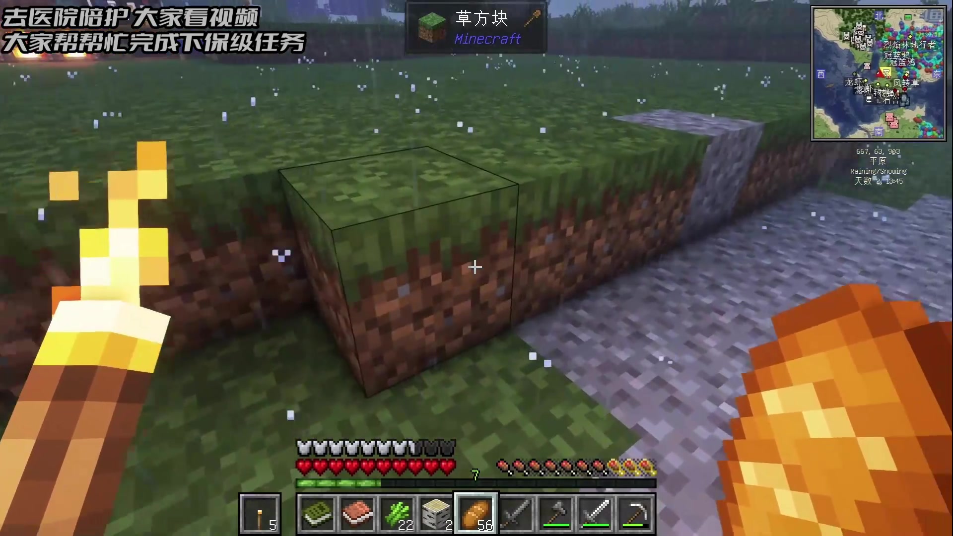 【2024-09-05 13点场】隐者丶丶：【小蜜蜂】照顾老婆 不定时直播