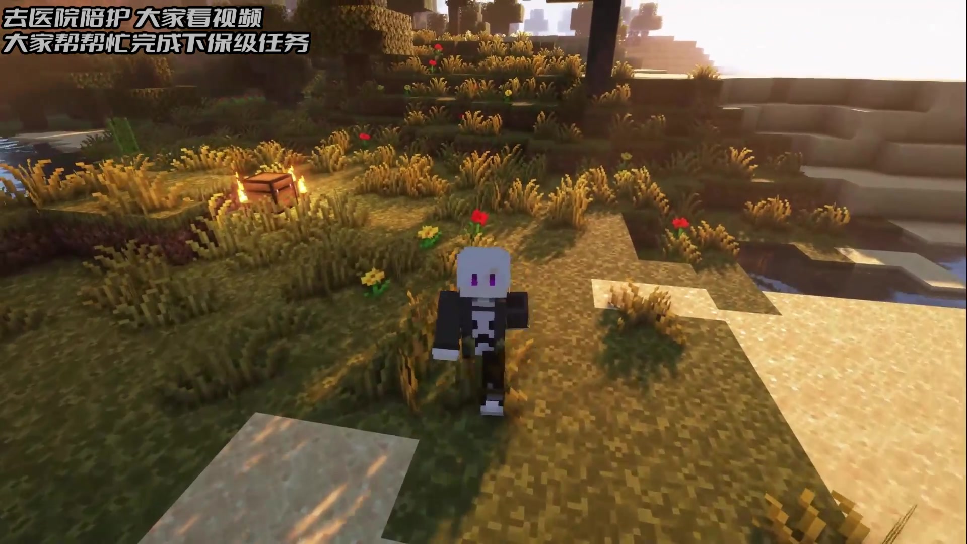 【2024-09-06 01点场】隐者丶丶：【小蜜蜂】照顾老婆 不定时直播