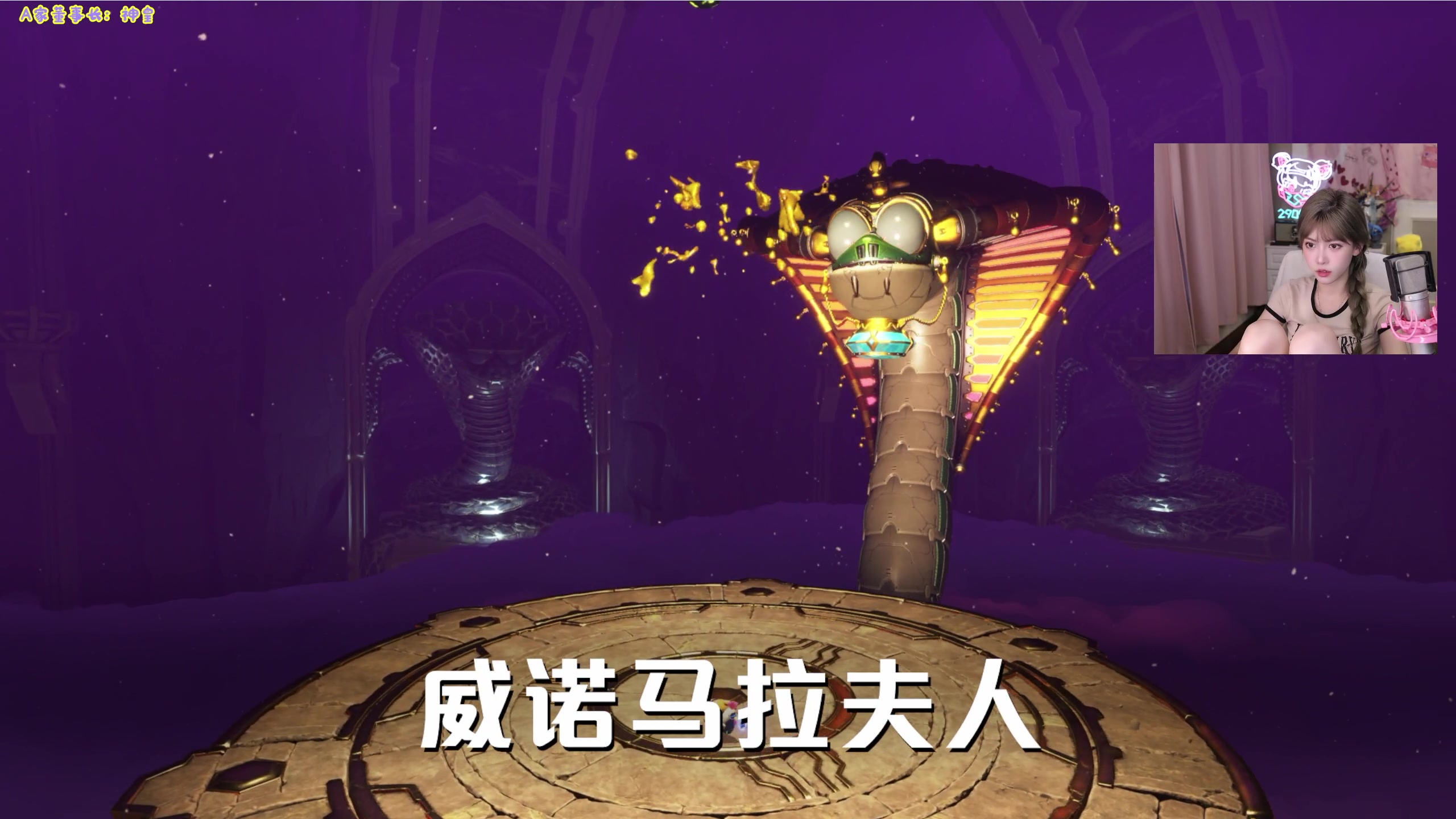 【2024-09-09 17点场】不2不叫周淑怡：淑怡：来惹来惹 双倍亲密度