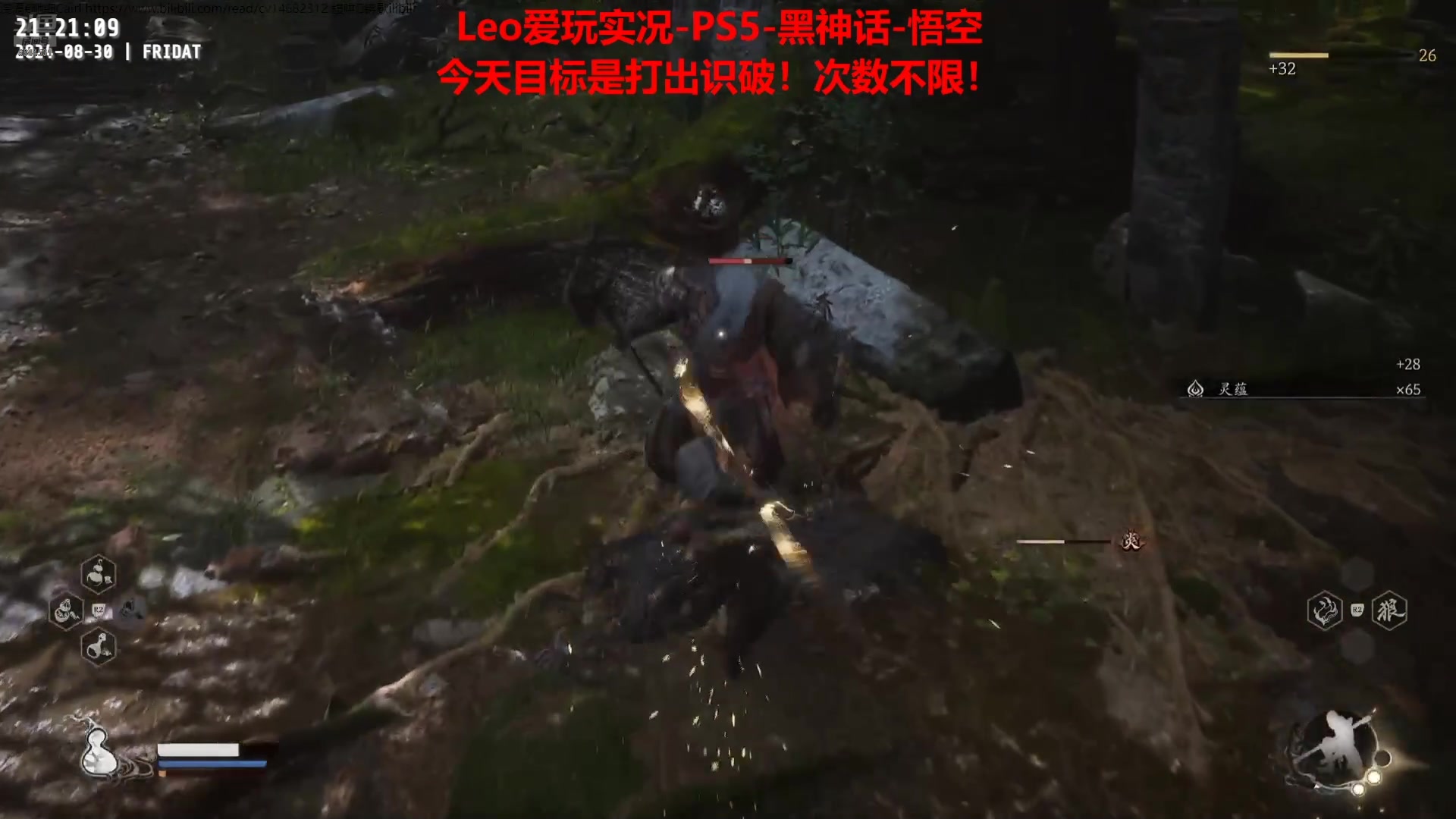 【2024-08-30 21点场】Leo爱看星际：实况-星际-直播间