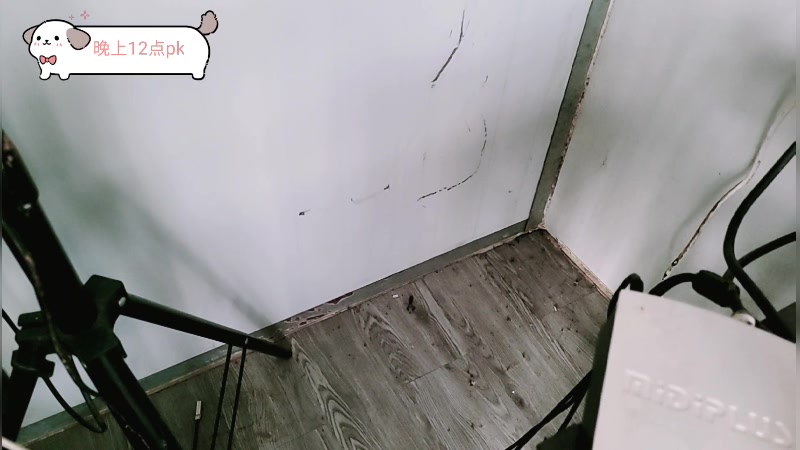 【2024-09-06 17点场】惠娜娜呀：【小奶团】渣男生日快乐～