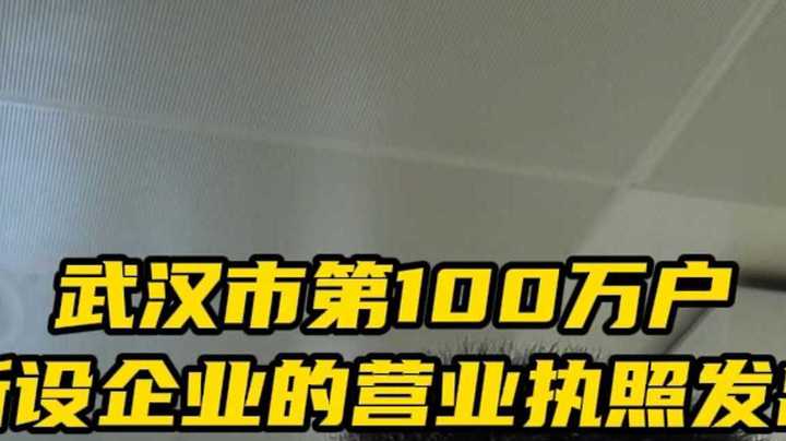 武汉企业总量突破100万户！#企业#营业执照#武汉市场监管