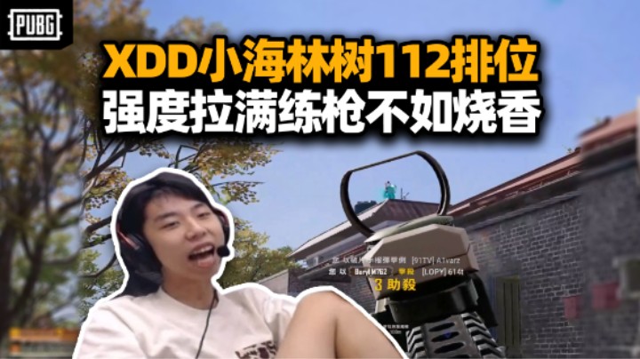 急不急？XDD小海林树112四排 海哥别杀了我怕！强度排位杀多赚少纯白忙 评价不如烧香！
