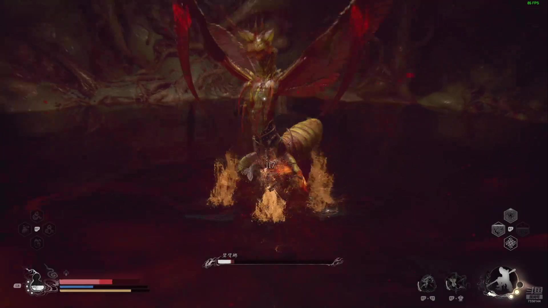 【2024-9-21 22点场】而鸟苗鸟:今日目标：没想好 打到哪算哪