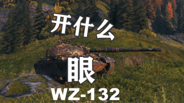 【坦克世界】北欧峡湾WZ-132拉德利