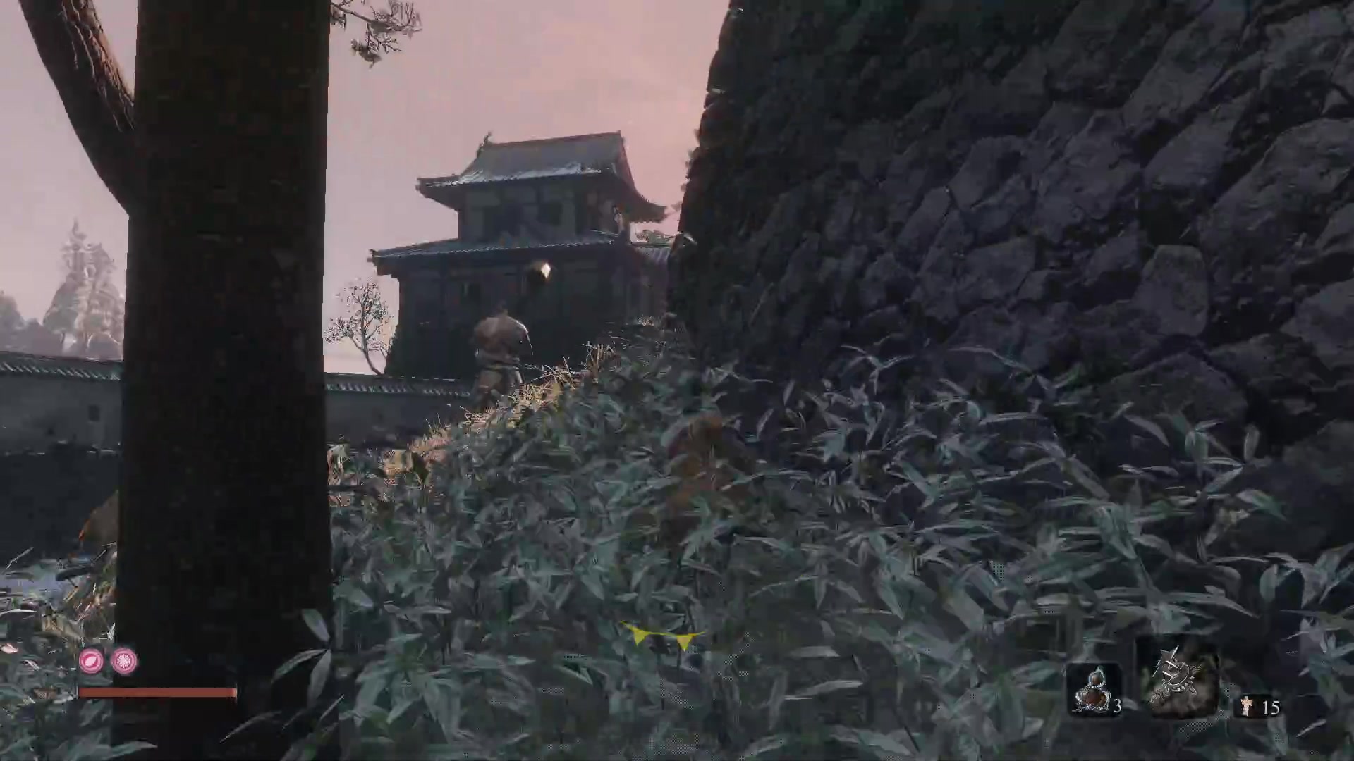 【2024-09-30 02点场】SoummerjA：一只新狼！