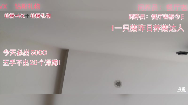 【2024-09-26 07点场】一只蘇l：好哥哥生日快乐！！