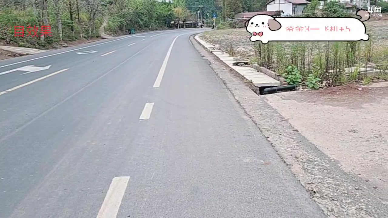 【2024-10-05 13点场】王大谋119：985成都日记Day6，徒搭回基地！