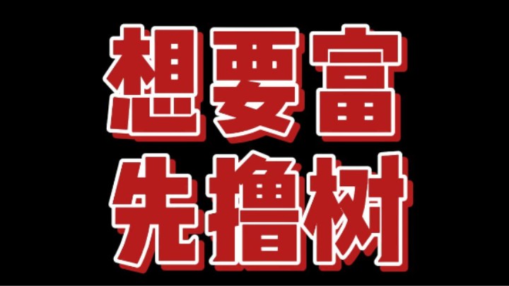 带着菜鸟女友开启MC之路