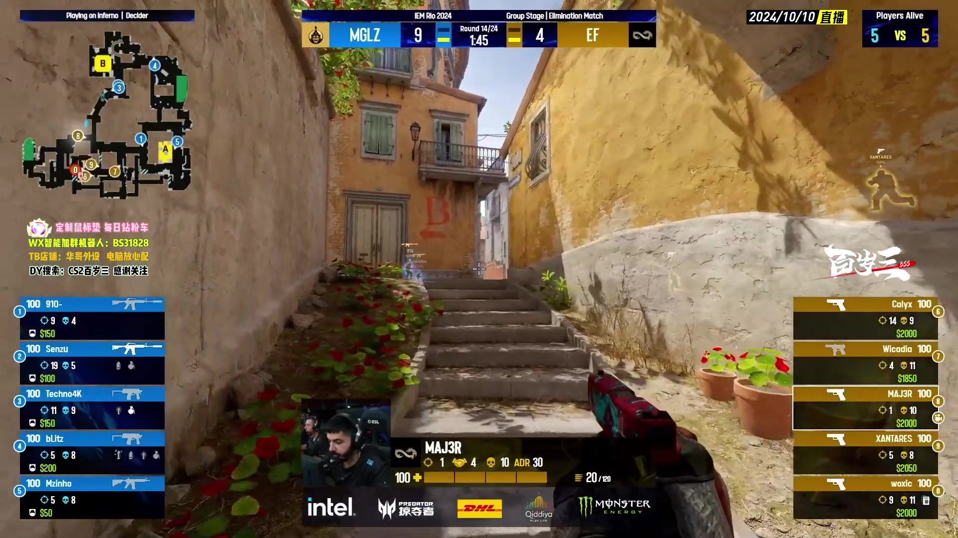 【2024-10-09 23点场】CSGO百岁三：IEM里约 NAVI vs 黑豹