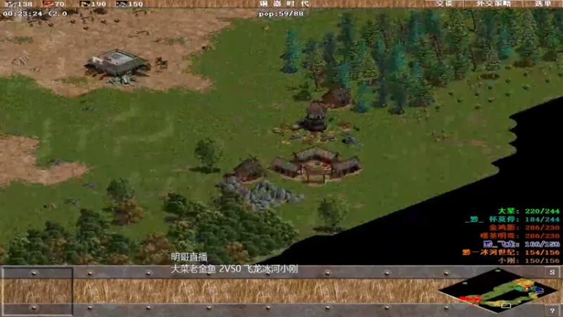 大菜老金鱼 3VS0 飞龙冰河小刚