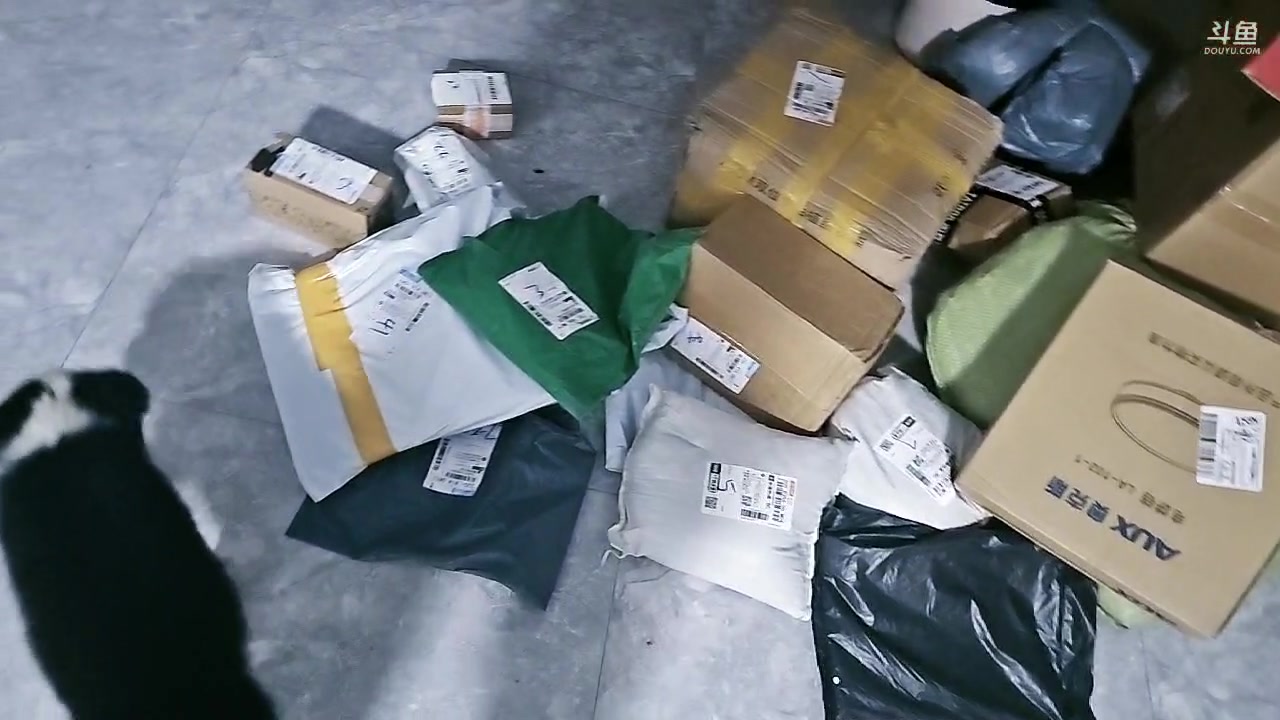 【2024-10-11 18点场】小鱼小鱼吃虾米：小鱼庄园的日常