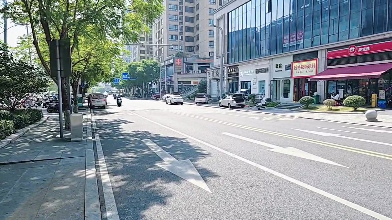 【2024-10-15 12点场】王大谋119：985日常！祝壵哥生日快乐！