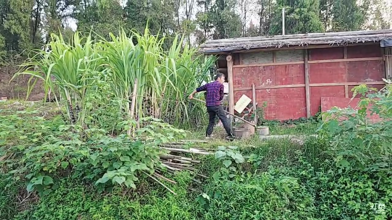 【2024-10-15 17点场】王大谋119：985日常！祝壵哥生日快乐！