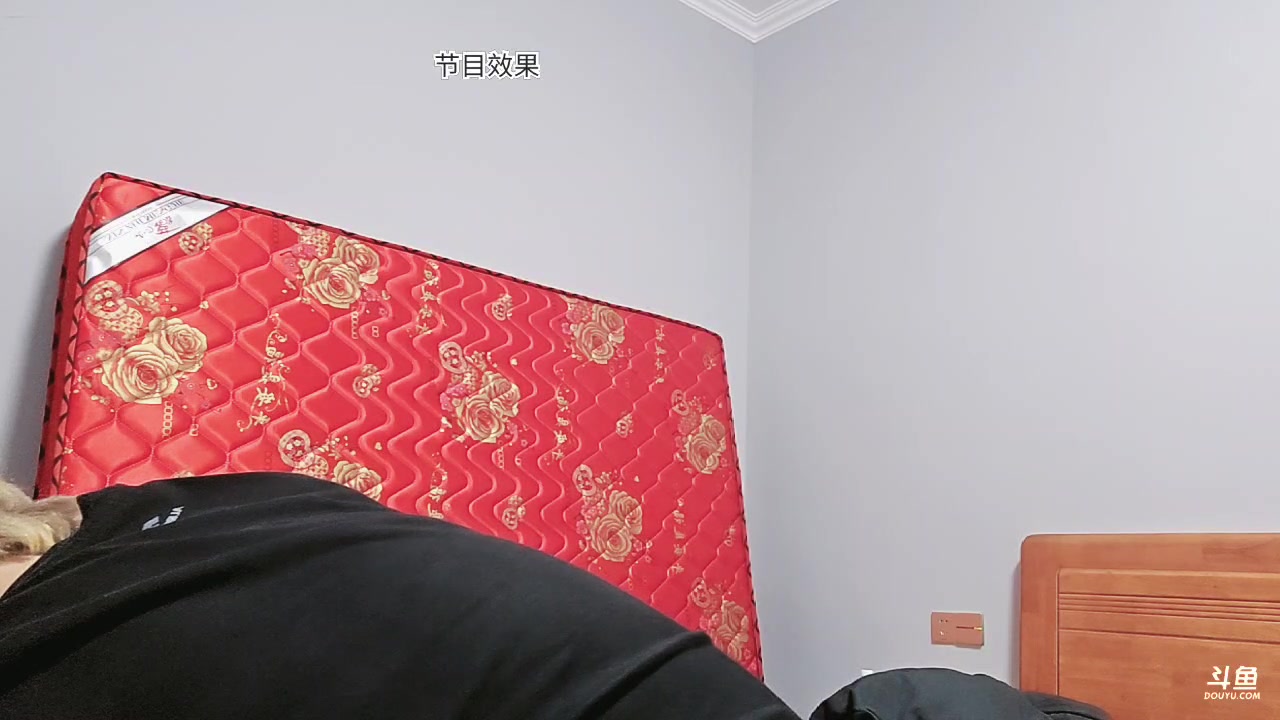 【2024-10-28 00点场】叁三QvQ：【小奶团】黑皮团播