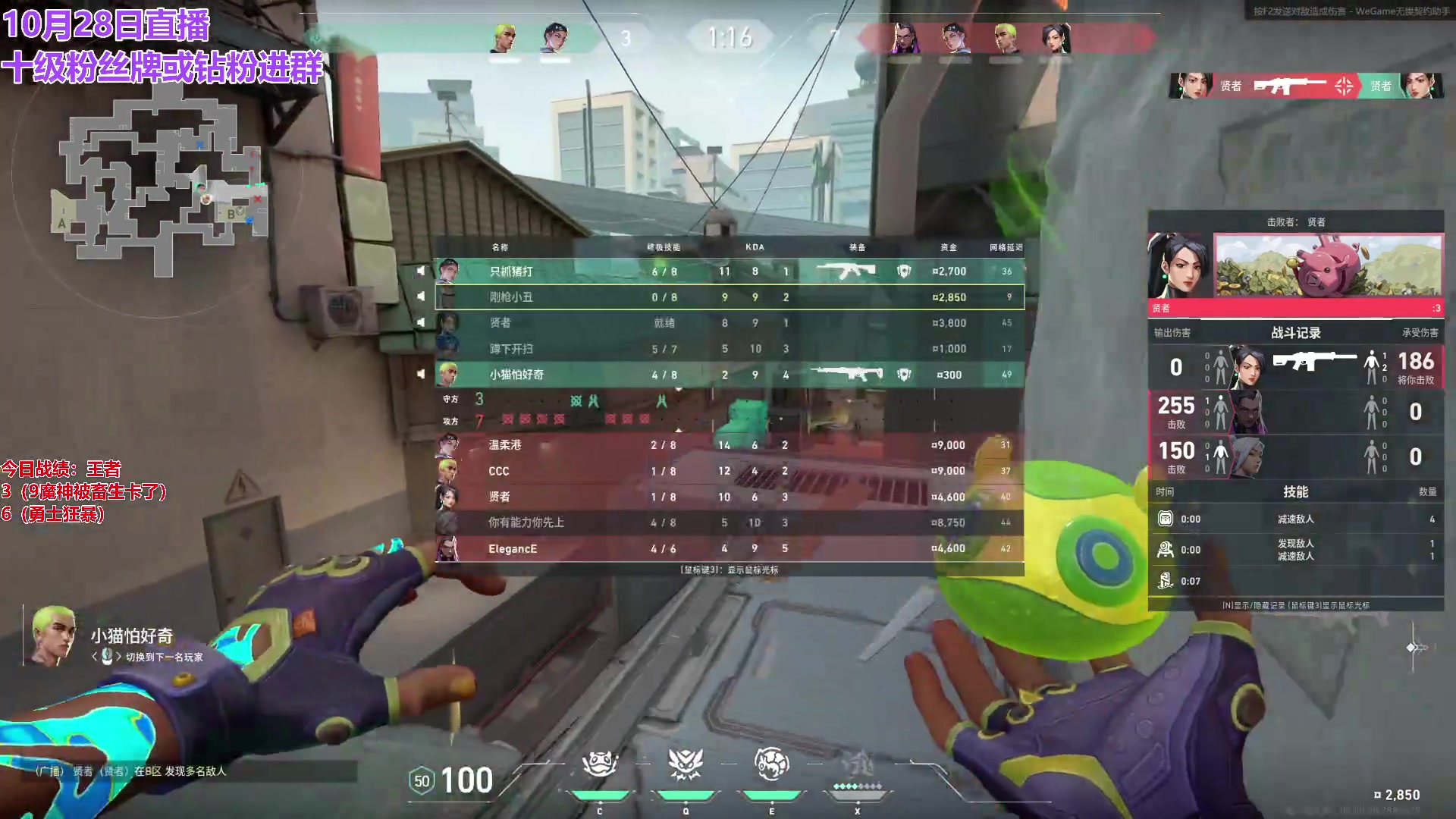 【2024-10-28 20点场】初音未来灰飞：初音：4点OB TOC半决赛