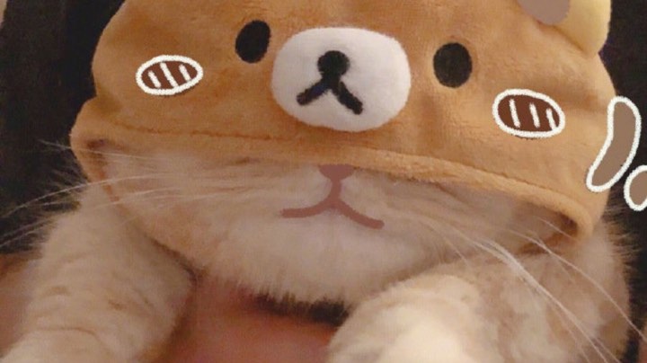 【2024-11-8 23点场】Zh0ucc:好想当一个什么都不用做也能被爱的屌丝