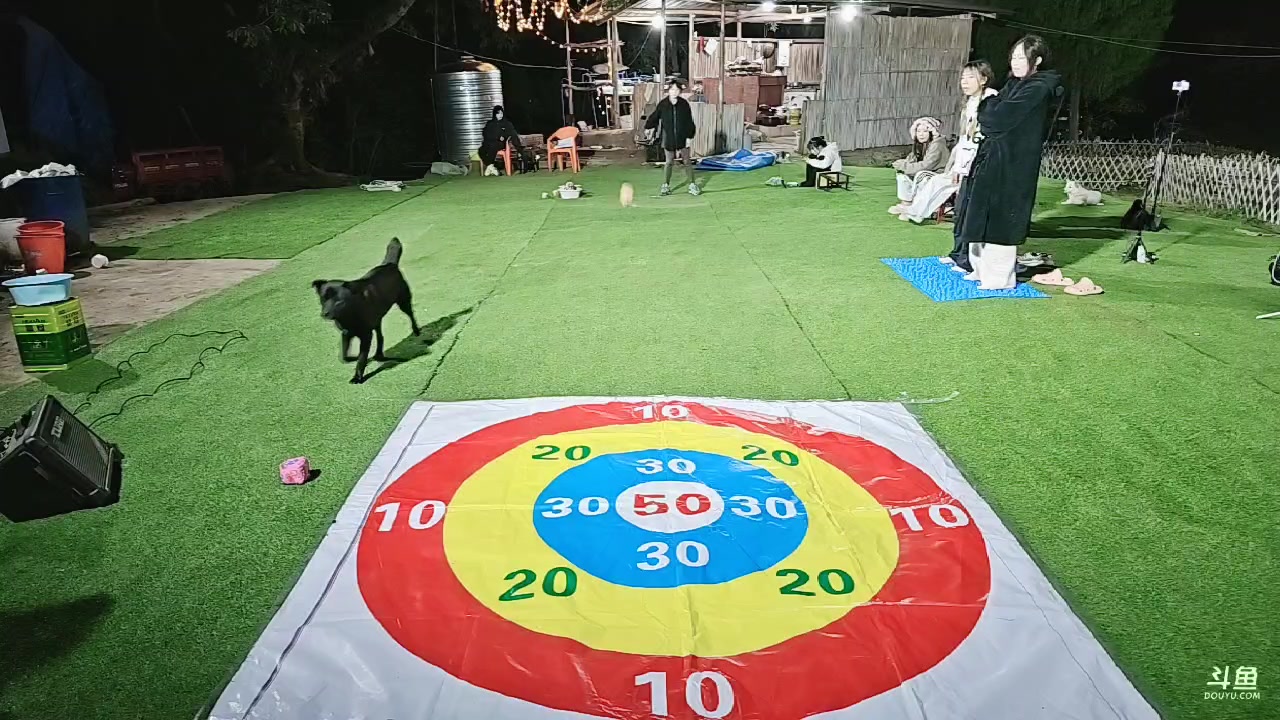 【2024-11-11 20点场】757户外：【非常互娱】7公里  Day69~