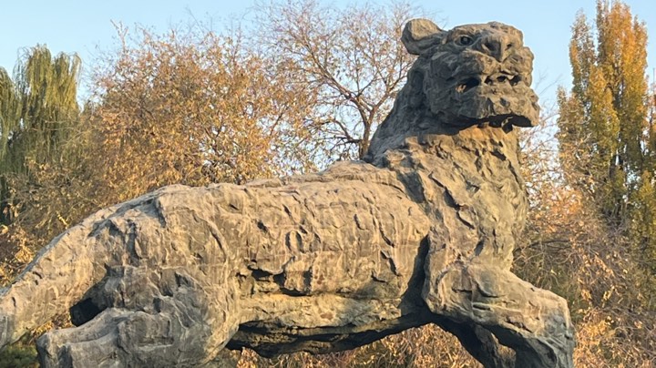 【2024-11-11 11点场】陆啦啦:沓星Vs 硬朗