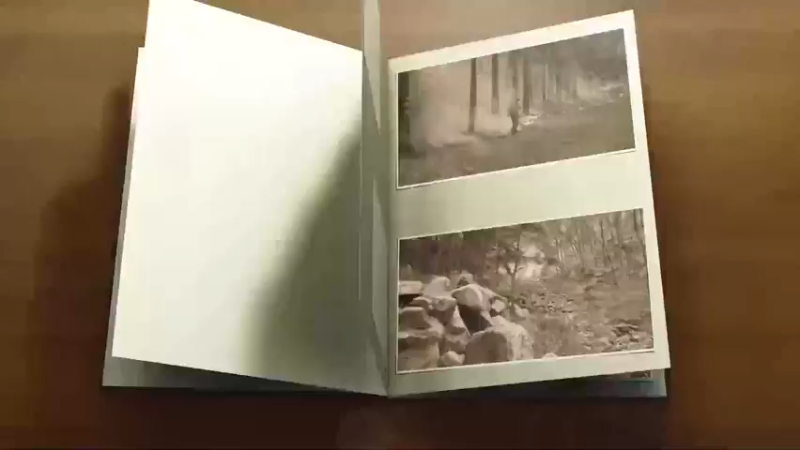 “飞越大美武当 守护绿水青山”森林防灭火空中巡山直播