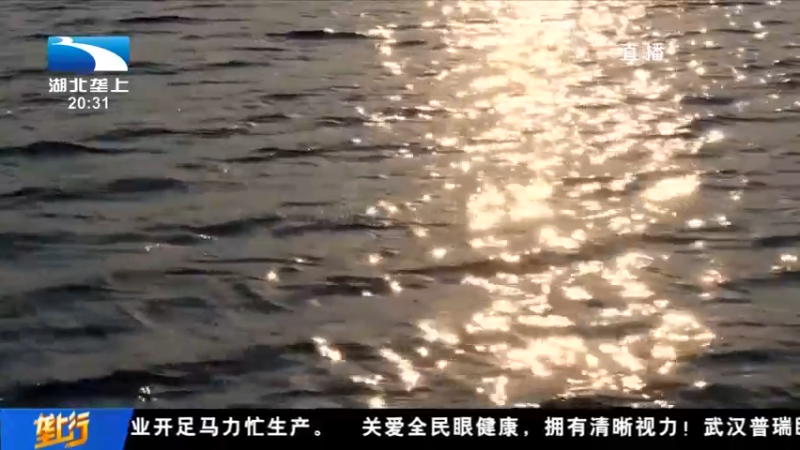 “大国农匠”赵美丽的美丽梦想