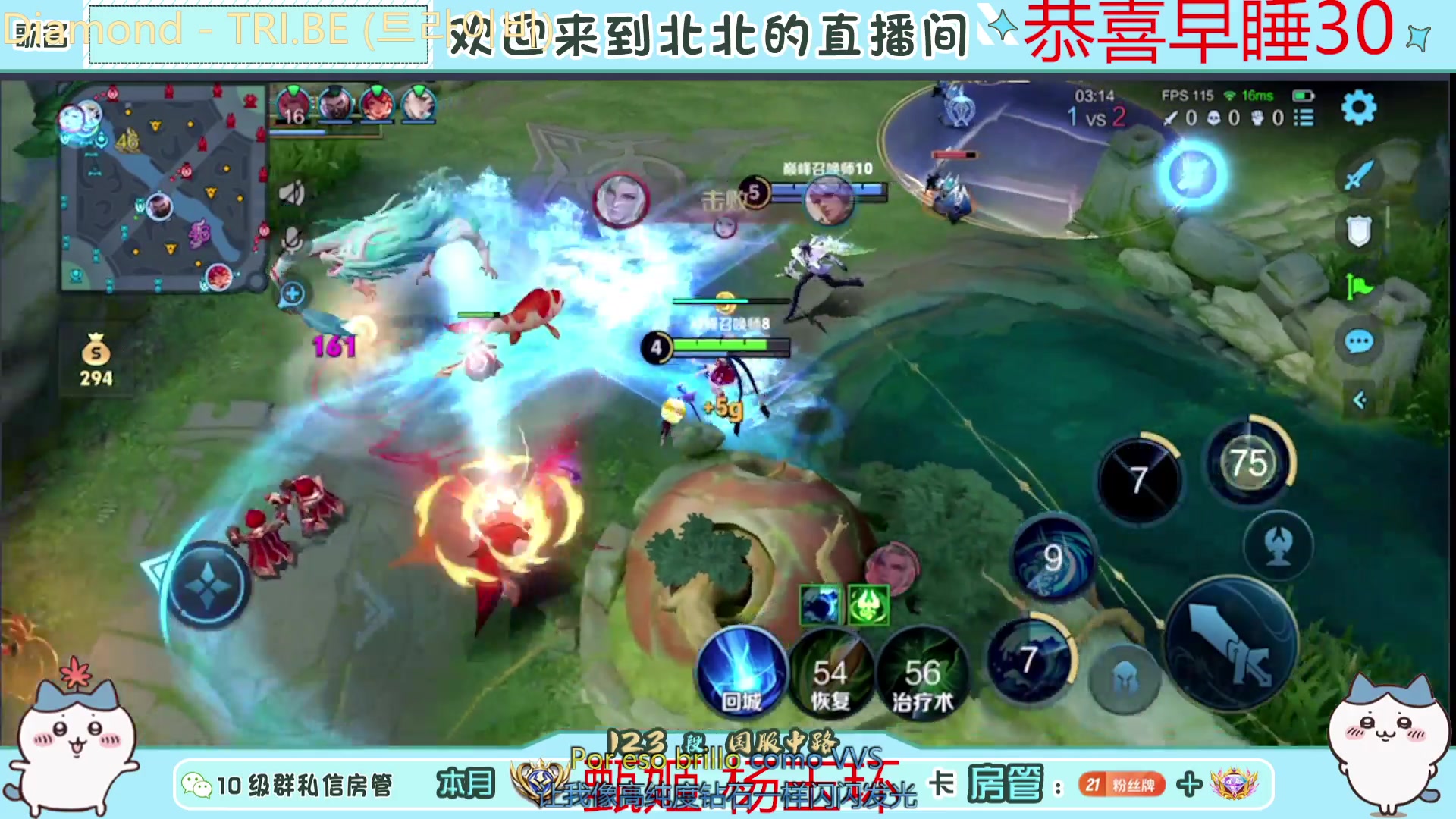 【2024-11-11 19点场】小笨蛋北北：加油加油加油！！