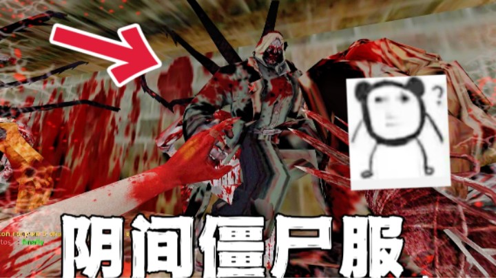 别折磨我了哥，主播很像软蛋吗？CS1.6阴间服