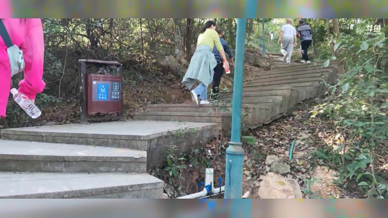 【2024-12-03 完整版】辛巴imb丶丶：起早进深山探寻好东西！