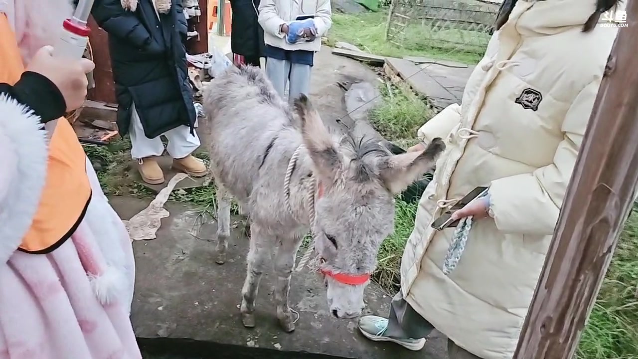 【2024-12-04 16点场】757户外：【非常互娱】757女团S3 Day91~