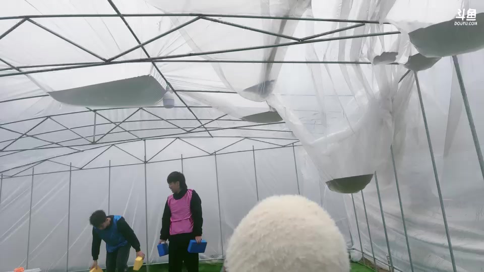 【2024-12-05 14点场】OrangebabyOAO：游戏时间！ 34411