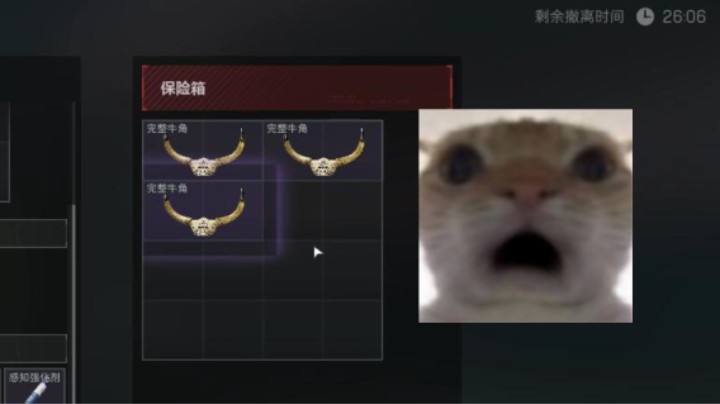 《牛 角 洲 行 动》