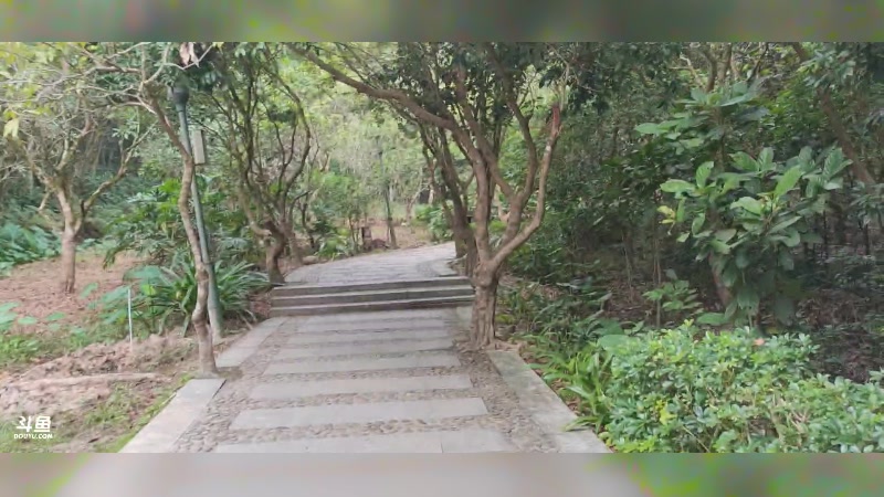 【2024-12-05 完整版】辛巴imb丶丶：早起爬山。