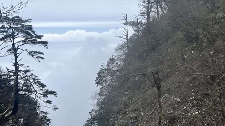 【2024-12-6 13点场】我迪迦在东北ya:徒步爬峨眉山