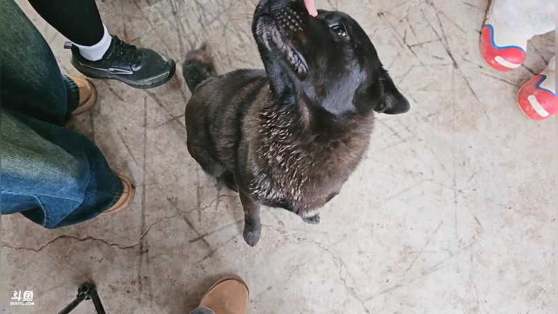 【2024-12-07 14点场】757户外：【非常互娱】757女团S3 Day94~