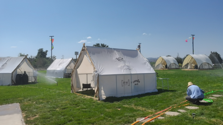 【2024-12-7 20点场】大球星617:星际老菜鸟 6546454