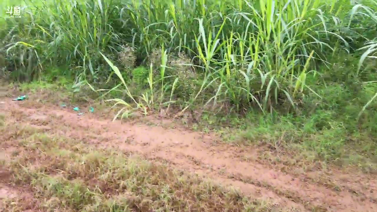 【2024-12-08 14点场】阿福Afuuu：有梦想的人都了不起