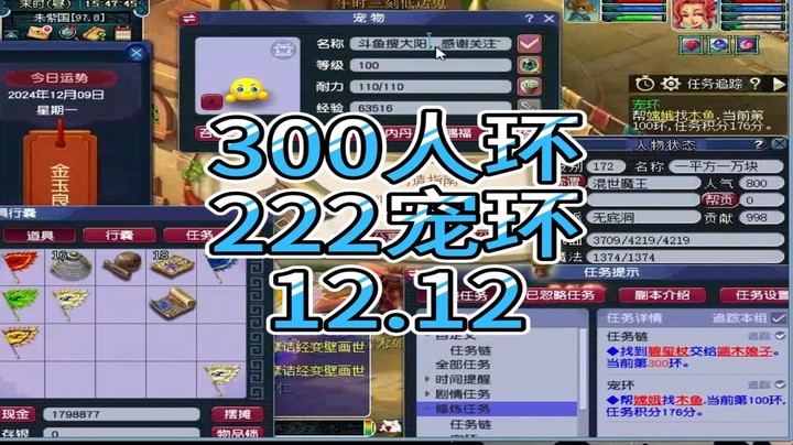 梦幻西游：300人环，222宠环12.12