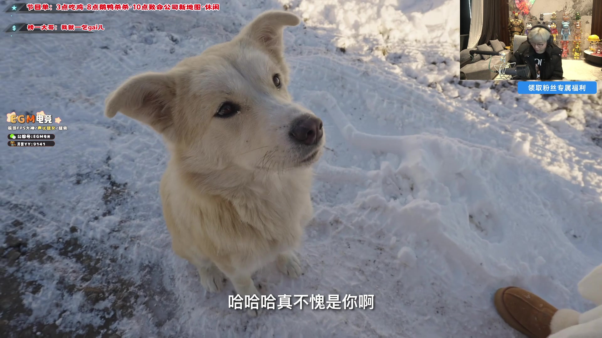 【2024-12-13 19点场】imxiaoxin：【✘-✘】钻石卡（15号纽鸡杯开赛）