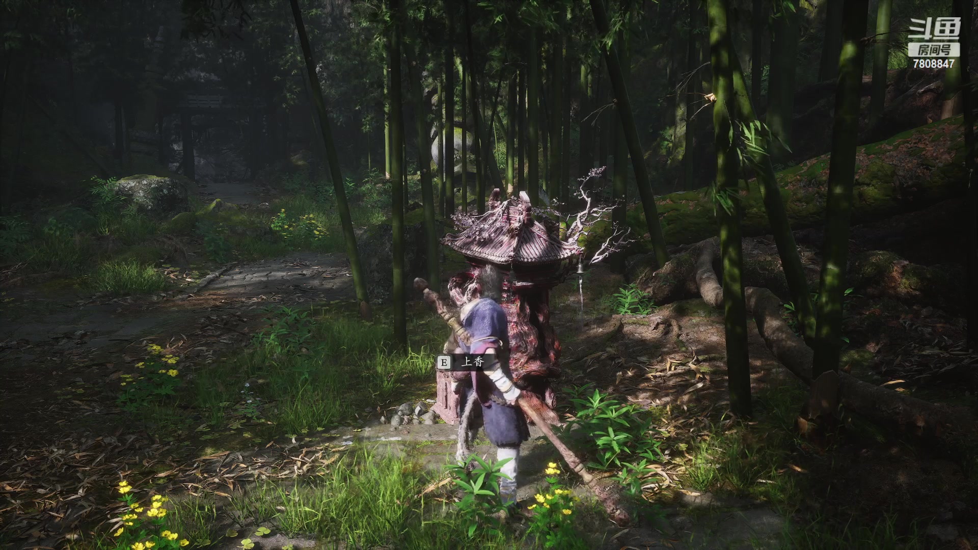 【2024-12-10 19点场】Iryn艾琳：勇气女巫按头开播