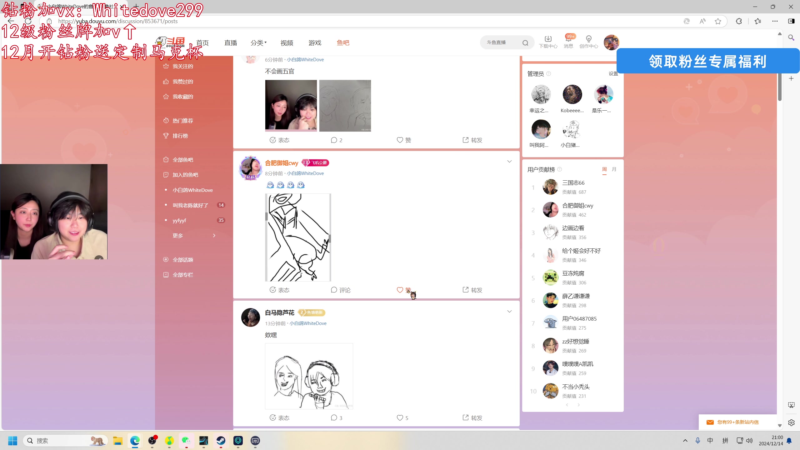 【2024-12-14 20点场】小白鸽WhiteDove：【双倍】画崔大赛第一届！