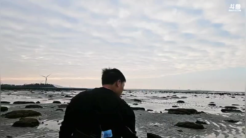 【2024-12-17 17点场】逐梦兄弟：海南流浪记