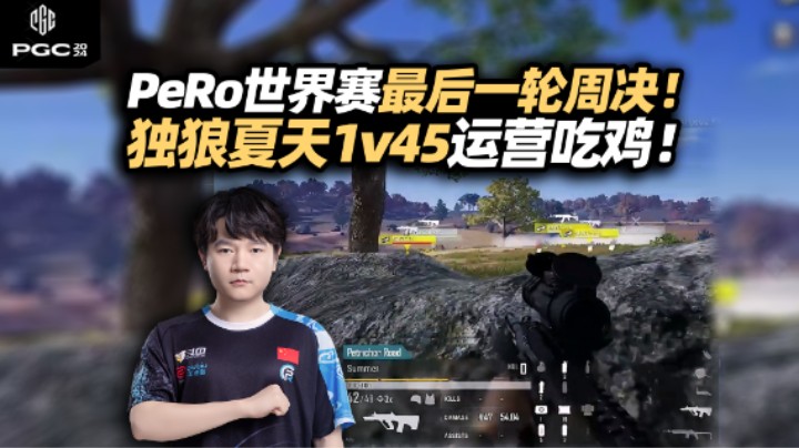 四个队友三个倒 剩我一个不死鸟！夏天世界赛独狼吃鸡 老六战法坐山观虎斗 超强心理素质玩弄对手！