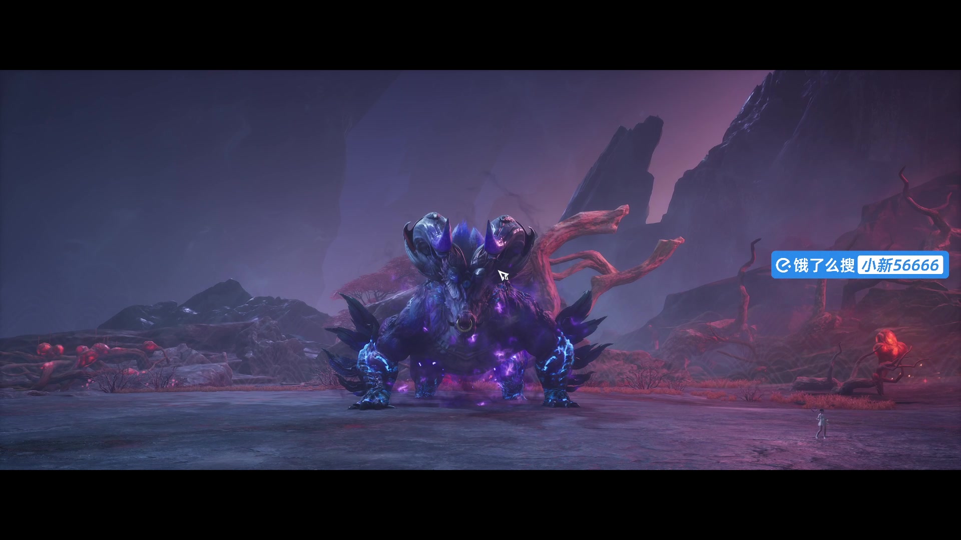 【2024-12-23 08点场】imxiaoxin：【✘-✘】7点为Pcl加油（PGC决赛）