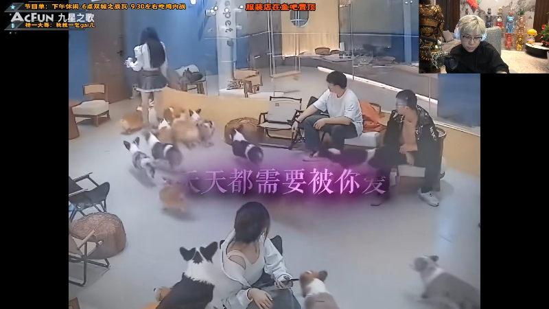 这是我剪辑的imxiaoxin的直播精彩时刻，快来看看吧~