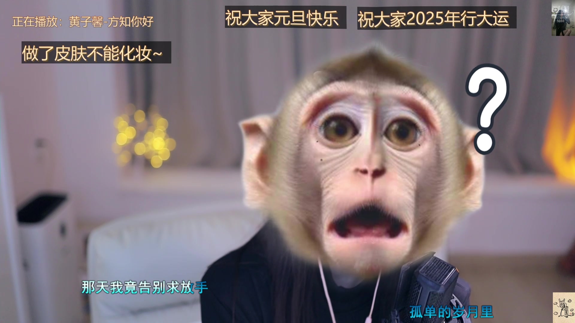 【2024-12-31 18点场】晒网的慧儿呀：小狗每天都在等你呀~